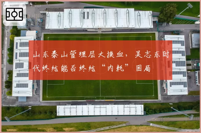 山东泰山管理层大换血，吴志东时代终结能否终结“内耗”困局