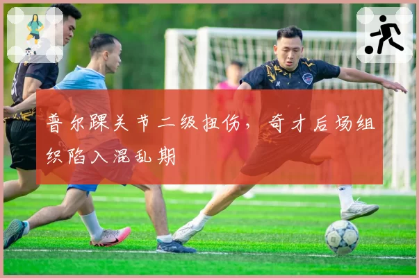 普尔踝关节二级扭伤,奇才后场组织陷入混乱期