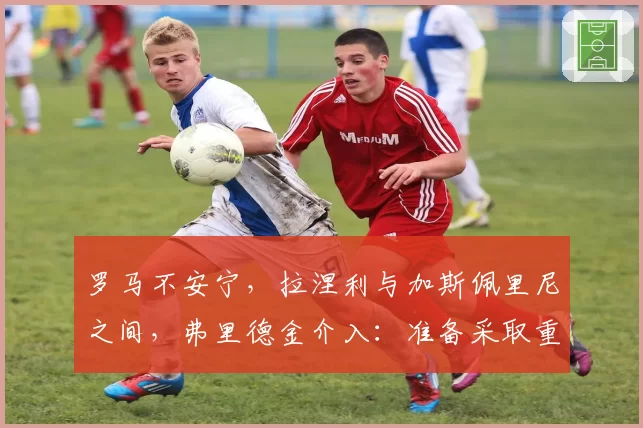 罗马不安宁,拉涅利与加斯佩里尼之间,弗里德金介入:准备采取重大决定