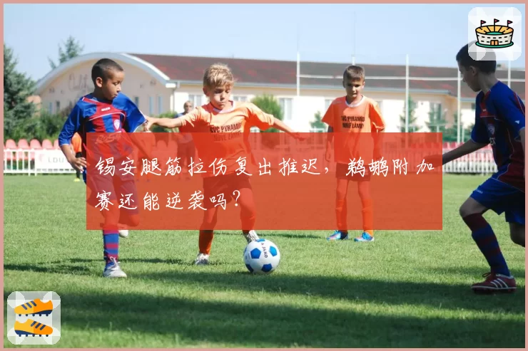 锡安腿筋拉伤复出推迟，鹈鹕附加赛还能逆袭吗？