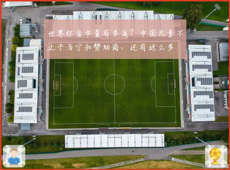 世界杯含中量有多高?中国元素不止于马宁和赞助商,还有这么多