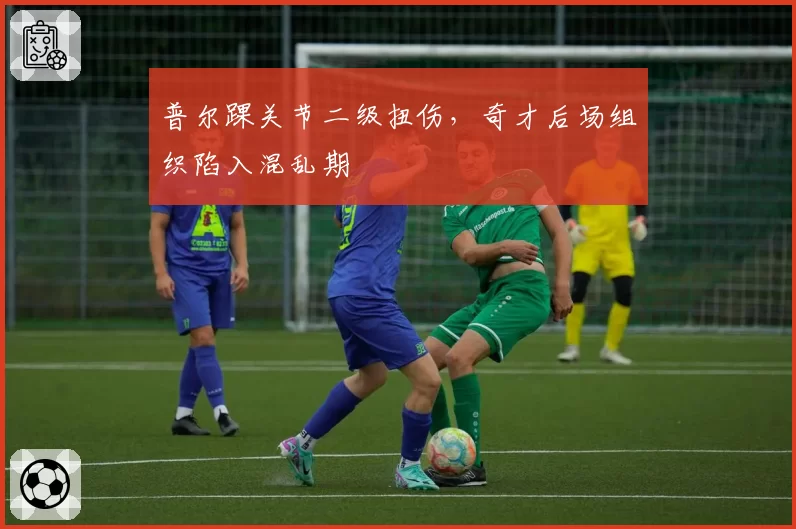 普尔踝关节二级扭伤，奇才后场组织陷入混乱期